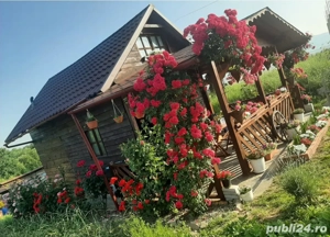 Casa și teren - imagine 5