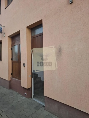 Spatiu comercial 140 mp Turnisor 750 E +TVA - imagine 13