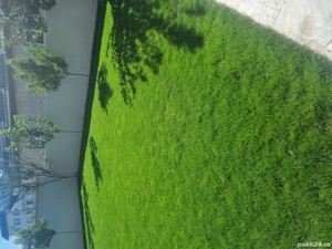 Gazon Rulou și Sisteme de Irigație