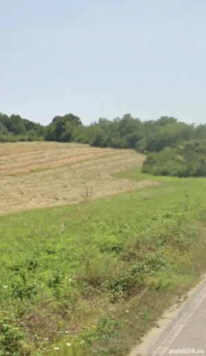 Teren de vânzare , 2000mp, Caraș-Severin