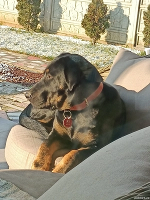 Mascul ,4 ani, Caut Partenera Gratuit.