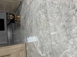 Vând cățel Yorkshire tereier - imagine 3