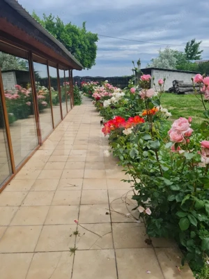 Casuta de vanzare, 149 mp utili, teren 1700 mp, Targoviste-zona Exterior Vest