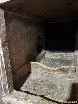 vand custi de iepuri - imagine 3