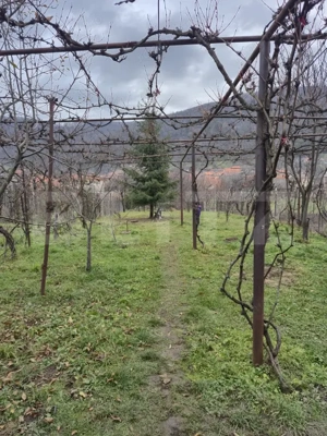 ROPRIETATE EXCLUSIVĂ DE VÂNZARE  – ZONĂ CENTRALĂ CUGIR - imagine 3