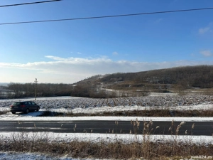 Teren de vânzare 9050 mp intravilan Tileagd, negociabil - imagine 3