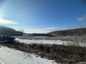 Teren de vânzare 9050 mp intravilan Tileagd, negociabil - imagine 4