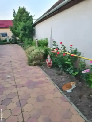 Casă de vănzare sau schinb cu apartament 2 camere sau cu o casă mai mică - imagine 4