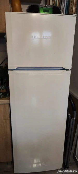 Frigider LIEBHERR CTP 2921, 268 l utili, A++