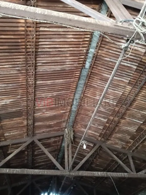 Depozit de vânzare – 392 mp construiți, Timis - Orțișoara, zonă industrială Avicola - imagine 3