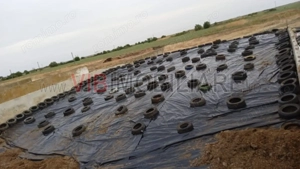 Ferma zootehnică funcțională, populată cu peste 200 capete bovine, aproape de Sânnicolau Mare - imagine 11