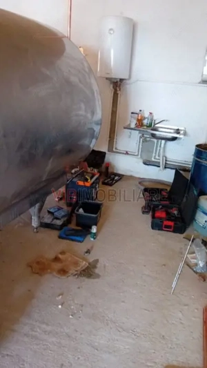 Ferma zootehnică funcțională, populată cu peste 200 capete bovine, aproape de Sânnicolau Mare - imagine 7