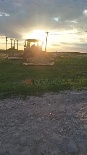 Ferma zootehnică funcțională, populată cu peste 200 capete bovine, aproape de Sânnicolau Mare - imagine 10