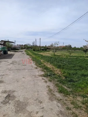 Ferma Zootehnică Mixtă – Cernateaz, Timiș | 9,5 ha | Hale Moderne, Casă 2019, Utilități Industriale - imagine 4