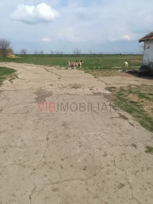 Ferma Zootehnică Mixtă – Cernateaz, Timiș | 9,5 ha | Hale Moderne, Casă 2019, Utilități Industriale - imagine 12