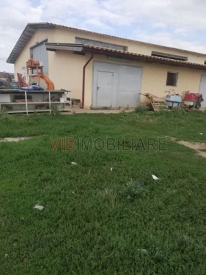 Ferma Zootehnică Mixtă – Cernateaz, Timiș | 9,5 ha | Hale Moderne, Casă 2019, Utilități Industriale - imagine 14