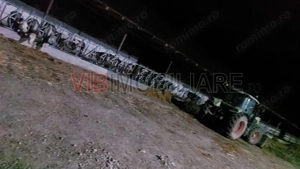 Ferma zootehnică funcțională, populată cu peste 200 capete bovine, aproape de Sânnicolau Mare - imagine 9