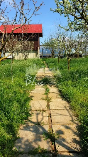 Casa cu teren 1200 mp situata in Localitatea Mihai Kogalniceanu - imagine 12