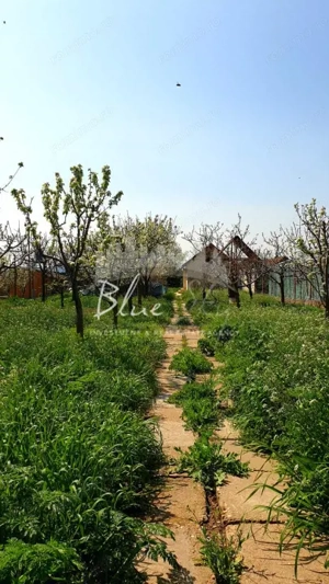 Casa cu teren 1200 mp situata in Localitatea Mihai Kogalniceanu - imagine 14