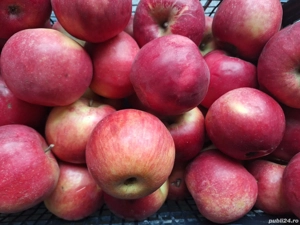  Vand mere idared si florina