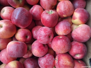  Vand mere idared si florina - imagine 3