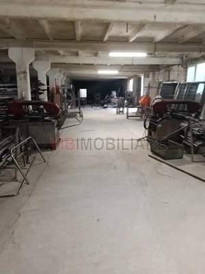 Depozit și hală industrială de vânzare – Orțișoara, complex industrial Avicola