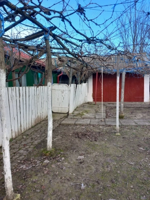 Casa batraneasca si teren de vanzare: Silistraru, Braila - imagine 9