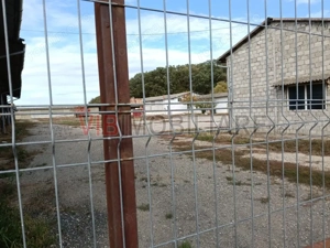 Ferma Agricolă 1.350 Hectare – Grad de Comasare 96–97%, Chișineu Criș, Județul Arad - imagine 9