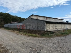 Ferma Agricolă 1.350 Hectare – Grad de Comasare 96–97%, Chișineu Criș, Județul Arad