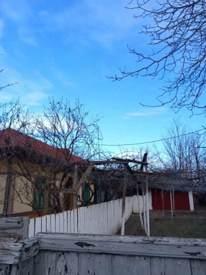 Casa batraneasca si teren de vanzare: Silistraru, Braila - imagine 8