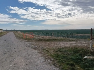 Ferma Agricolă 1.350 Hectare – Grad de Comasare 96–97%, Chișineu Criș, Județul Arad - imagine 3