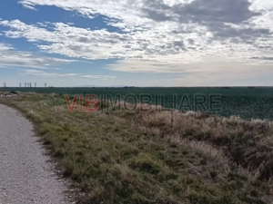 Ferma Agricolă 1.350 Hectare – Grad de Comasare 96–97%, Chișineu Criș, Județul Arad - imagine 13