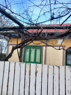 Casa batraneasca si teren de vanzare: Silistraru, Braila - imagine 10