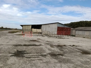 Ferma Agricolă 1.350 Hectare – Grad de Comasare 96–97%, Chișineu Criș, Județul Arad - imagine 12