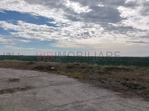 Ferma Agricolă 1.350 Hectare – Grad de Comasare 96–97%, Chișineu Criș, Județul Arad - imagine 14