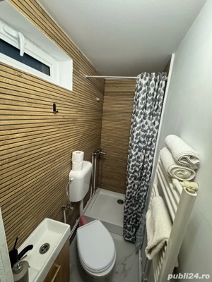 Vand vila cabana in Muntele Baisorii - imagine 10