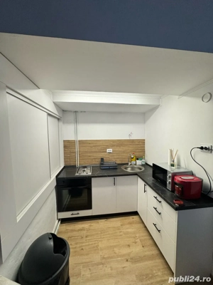 Vand vila cabana in Muntele Baisorii - imagine 7