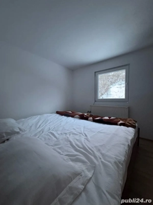 Vand vila cabana in Muntele Baisorii - imagine 6