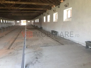 Ferma complet utilată – 30 ha teren comasat cu 11.500mp grajduri renovate Timiș – Comuna Biled - imagine 11
