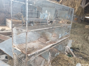 cușcă iepuri 9 boxe  - imagine 2