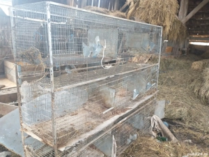 cușcă iepuri 9 boxe  - imagine 3