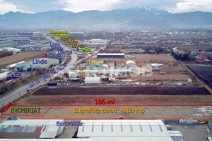 Teren intravilan DN 13 pretabil activitati comerciale - imagine 3