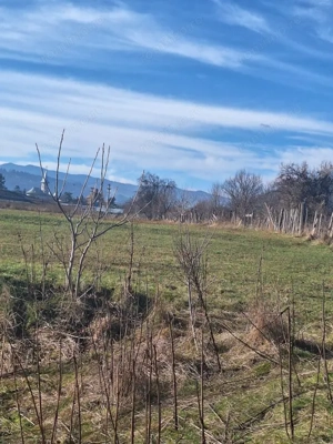 Oportunitate investiție | Teren 2400 mp – Dărmănești, acces la drum - imagine 3