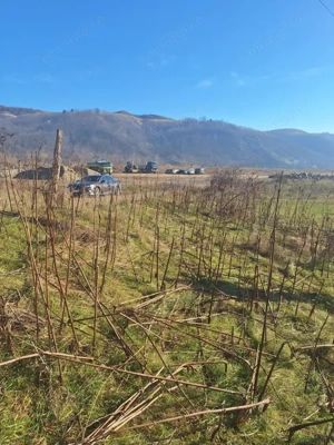 Oportunitate investiție | Teren 2400 mp – Dărmănești, acces la drum - imagine 2