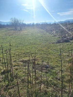 Oportunitate investiție | Teren 2400 mp – Dărmănești, acces la drum