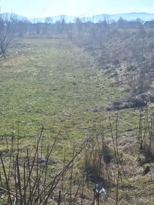 Oportunitate investiție | Teren 2400 mp – Dărmănești, acces la drum - imagine 4