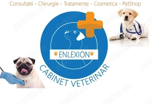 Part-time asistent a veterinar (student cu sau fara experienta) bucuresti sector6