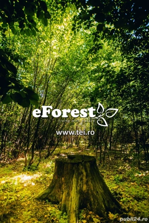  Promoția de Paște a început! Teren acces sosea 760 mp in cartier eForest, langa Academia Titi Aur - imagine 10