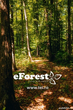 Teren premium, intre doua paduri, acces asfaltat din DN1A, vizitati eForest!