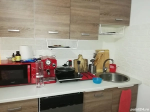 Casa Dascalu - imagine 9